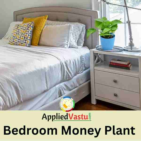 Money Plat in Bedroom - vastu For Money plant AppliedVastu.jpg